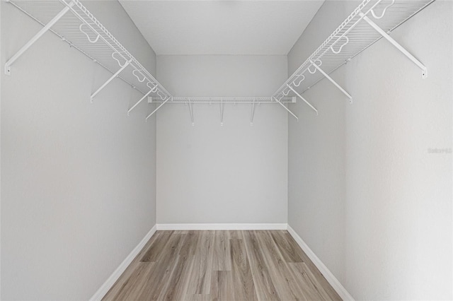 spacious closet with wood-type flooring