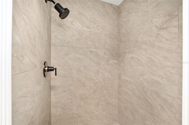 interior details with tiled shower