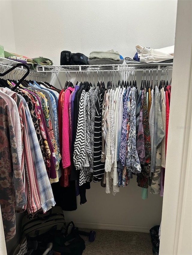 walk in closet featuring carpet floors