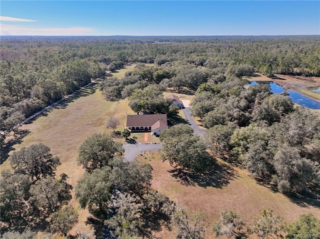 7424 N Nature Trl, Hernando, FL 34442 - view of subject property featuring a heavily wooded area and a nearby body of water