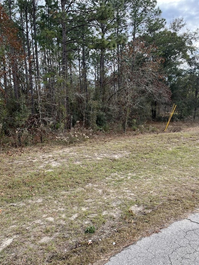 SW 82 Court Rd, Ocala FL, 34473 land for sale