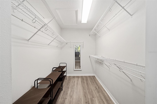 walk in closet featuring hardwood / wood-style flooring