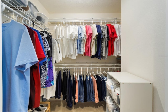 walk in closet featuring carpet flooring