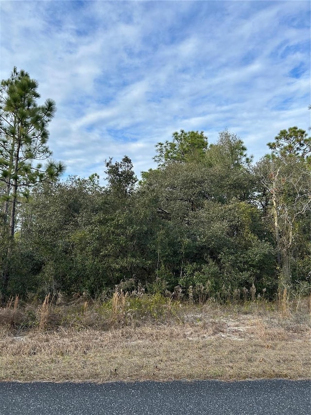 SW Huckleberry Ln, Dunnellon FL, 34431 land for sale