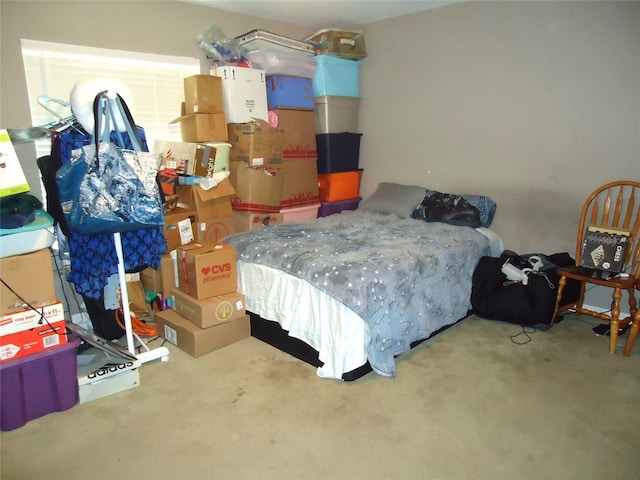 bedroom with carpet flooring