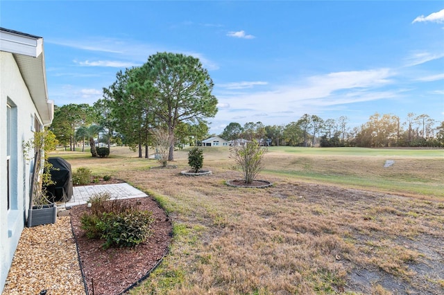 view of yard with a patio area