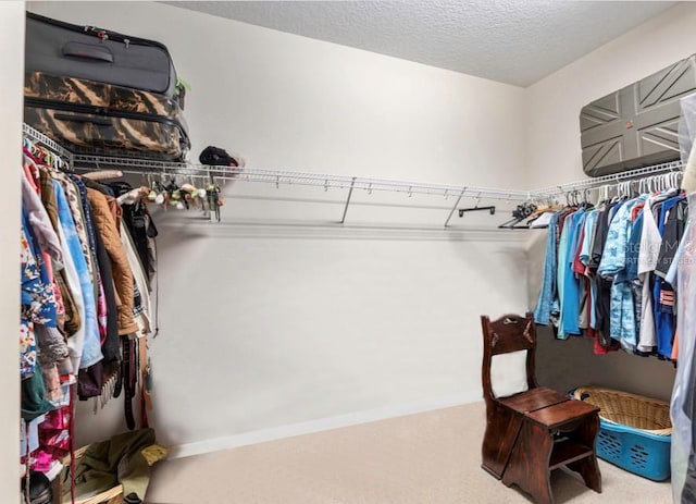 walk in closet with carpet floors