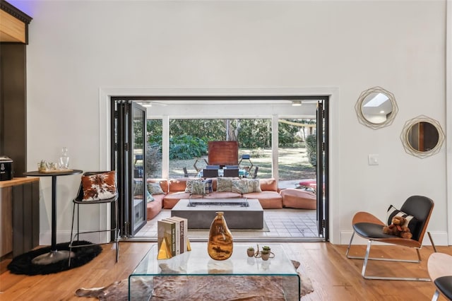 living room with a healthy amount of sunlight and light hardwood / wood-style flooring