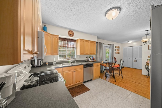 kitchen featuring dishwasher, stove, plenty of natural light, and sink