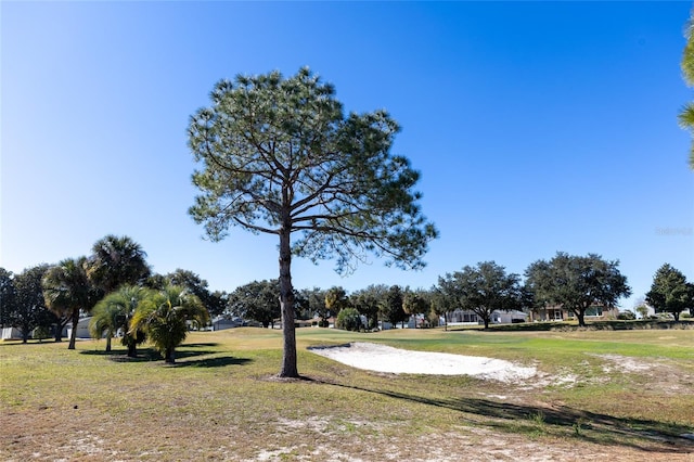 view of property's community featuring a lawn