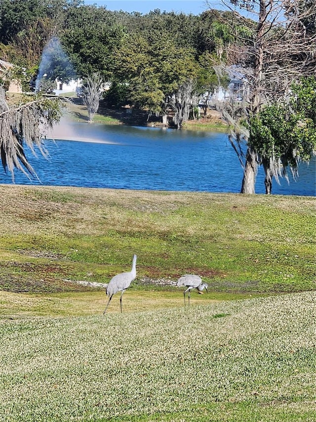 property view of water