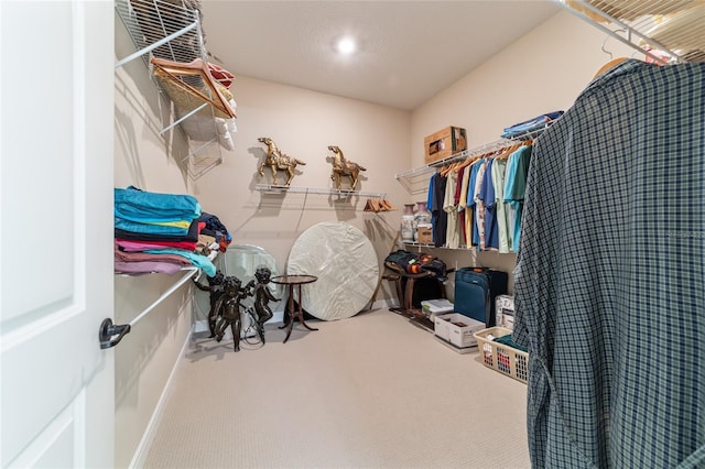 spacious closet featuring carpet