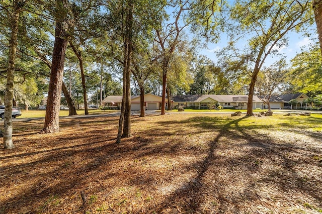 view of yard featuring a garage