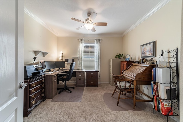 carpeted office space with ceiling fan and ornamental molding