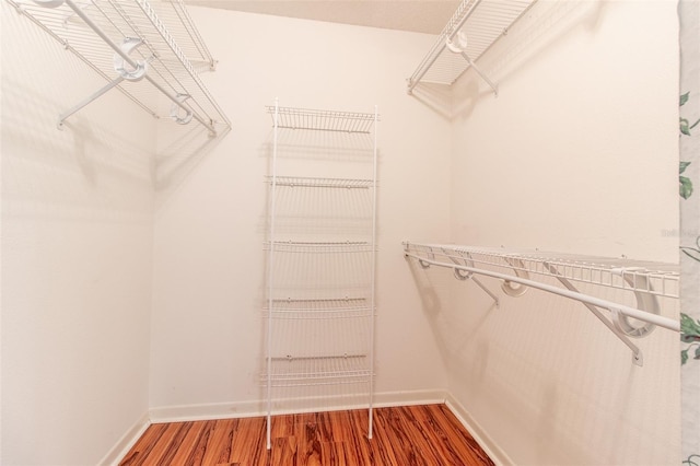 walk in closet with hardwood / wood-style flooring