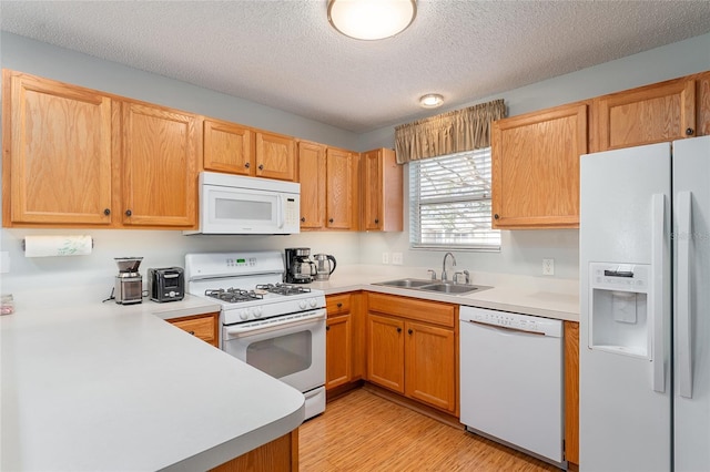 kitchen featuring a textured ceiling, sink, white appliances, and light wood-type flooring