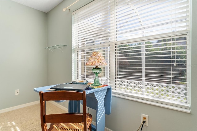 view of carpeted home office