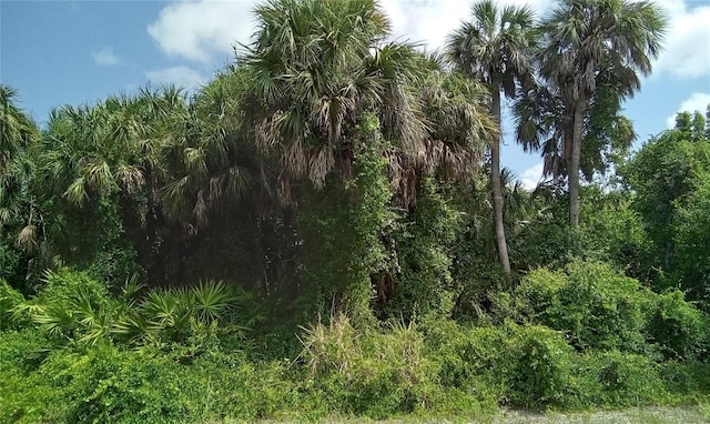 00 Leesburg Ave, North Port FL, 34288 land for sale