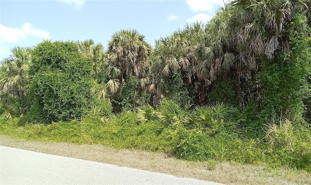 Listing photo 2 for 00 Leesburg Ave, North Port FL 34288