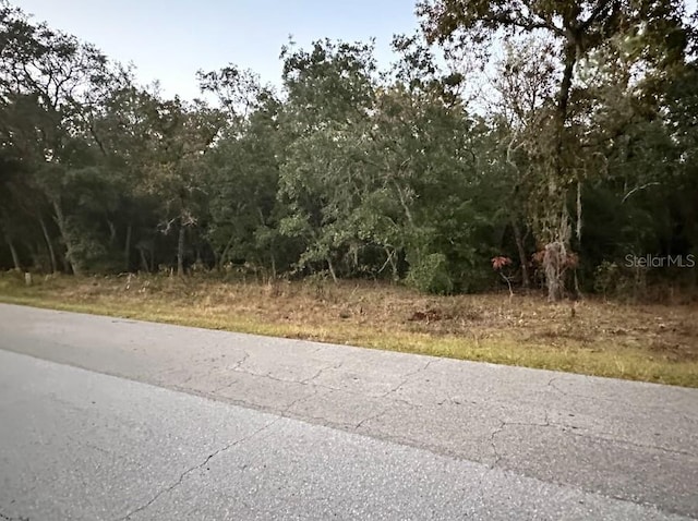 861 W Olympia St, Hernando FL, 34442 land for sale