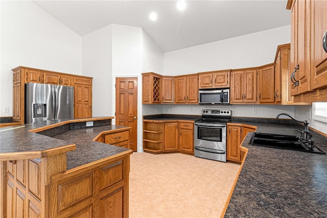 kitchen featuring sink, a towering ceiling, and stainless steel appliances