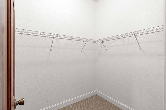 spacious closet with carpet