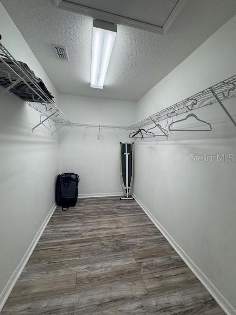 walk in closet with wood-type flooring