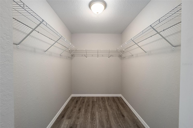 spacious closet with dark wood-type flooring