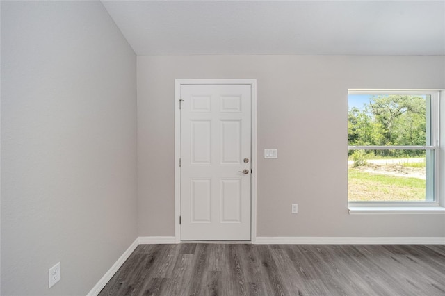 interior space featuring hardwood / wood-style flooring and plenty of natural light