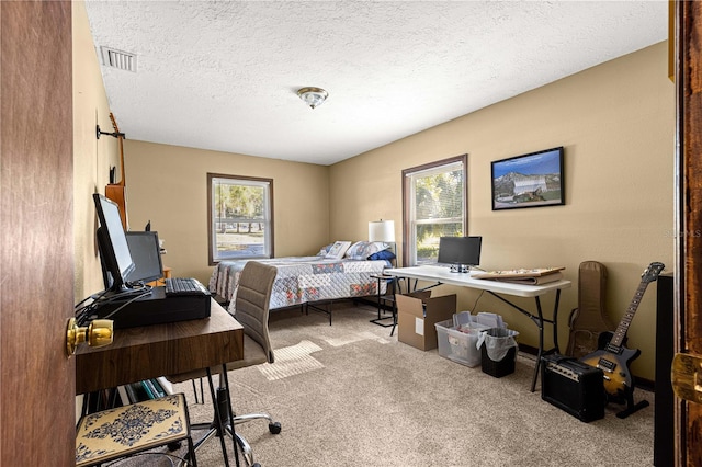 bedroom featuring a textured ceiling, multiple windows, and carpet