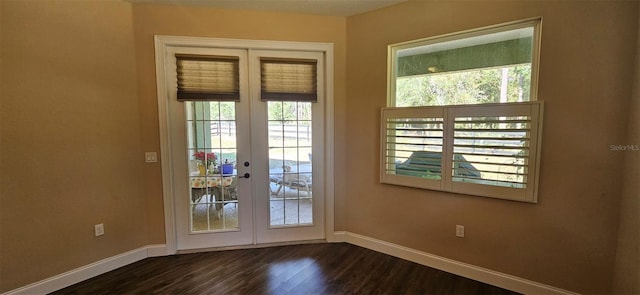 doorway featuring dark wood-type flooring and french doors