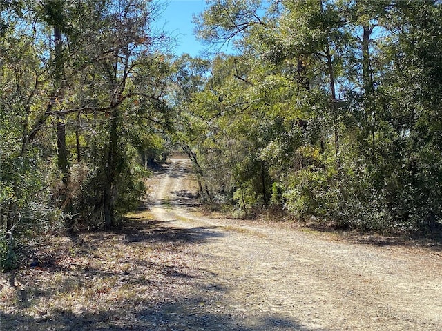 view of road