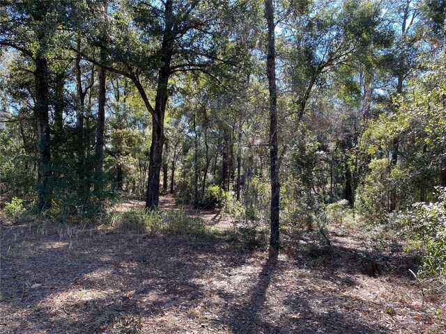view of landscape with a wooded view