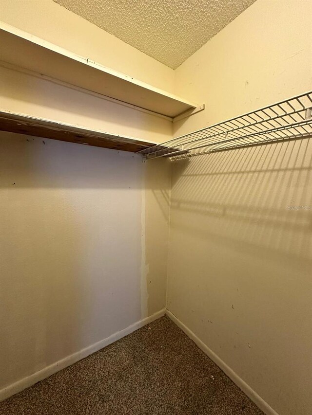 spacious closet with carpet