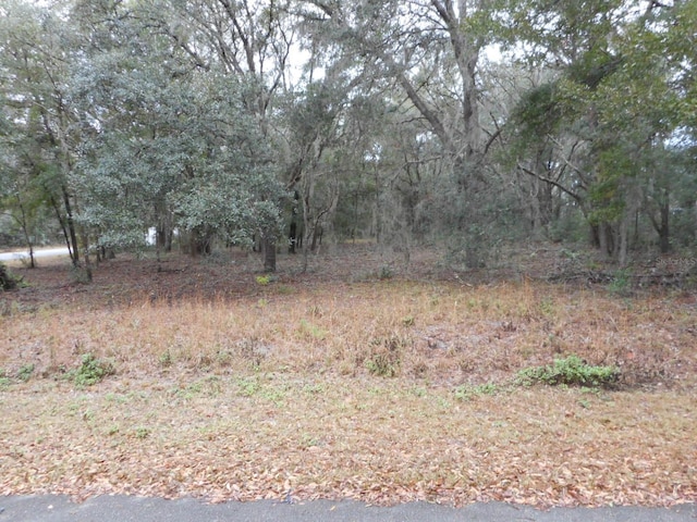 SW Waterview Ct, Dunnellon FL, 34431 land for sale