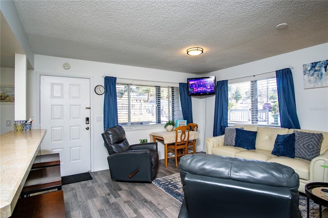 living room featuring a textured ceiling and hardwood / wood-style flooring