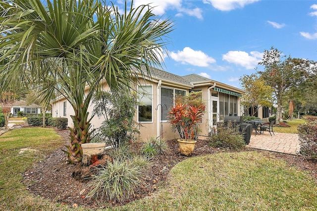 rear view of house featuring a patio and a lawn