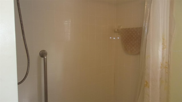 room details with a shower with curtain