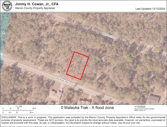 Listing photo 2 for 0 Malauka Trak, Ocklawaha FL 32179