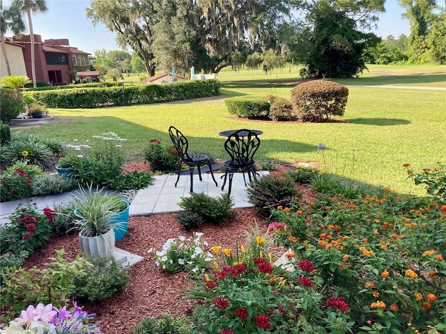 view of yard featuring a patio area