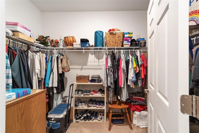 spacious closet featuring carpet flooring