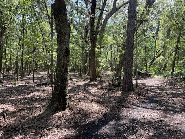 0 SW 64th Ter, Ocala FL, 34473 land for sale