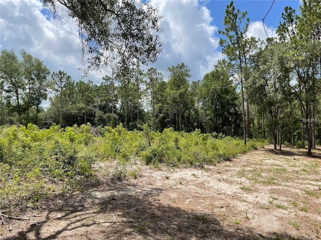 Listing photo 3 for TBD SE 23rd Pl, Morriston FL 32668