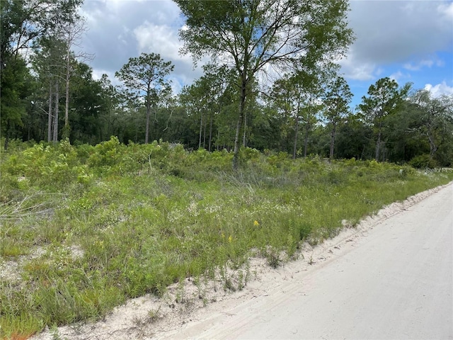 TBD SE 23rd Pl, Morriston FL, 32668 land for sale