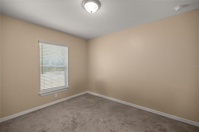 empty room featuring carpet floors