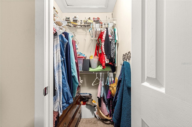 walk in closet with carpet flooring