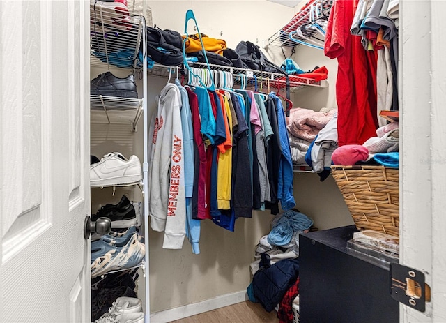 spacious closet with hardwood / wood-style floors