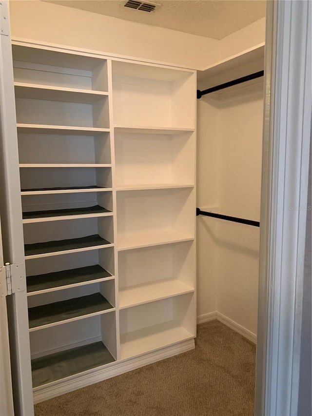 spacious closet featuring carpet