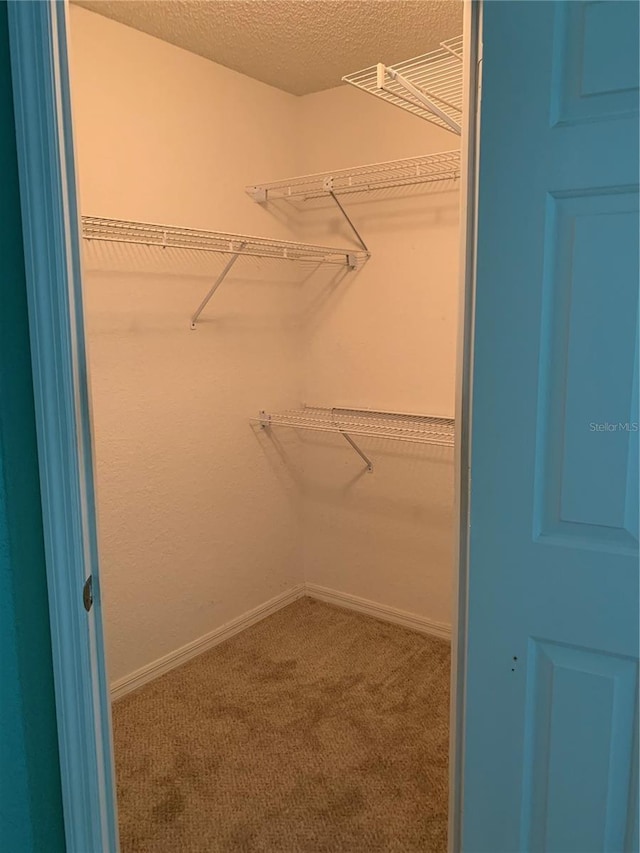 spacious closet with carpet