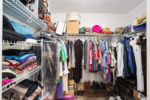 spacious closet featuring carpet flooring